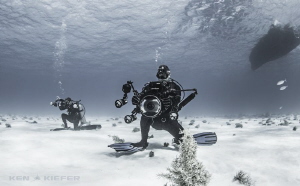 Gotta be in position and ready for when the TigerSharks m... by Ken Kiefer 